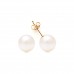 9ct Gold 7mm Cultured Pearl Stud Earrings