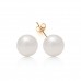 9ct Gold 8mm Simulated Pearl Stud Earrings
