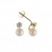 9ct Gold Freshwater Cultured Pearl And Cubic Zirconia Stud Earri