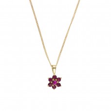 9ct Gold Ruby Cluster Pendant And 18'' Curb Chain